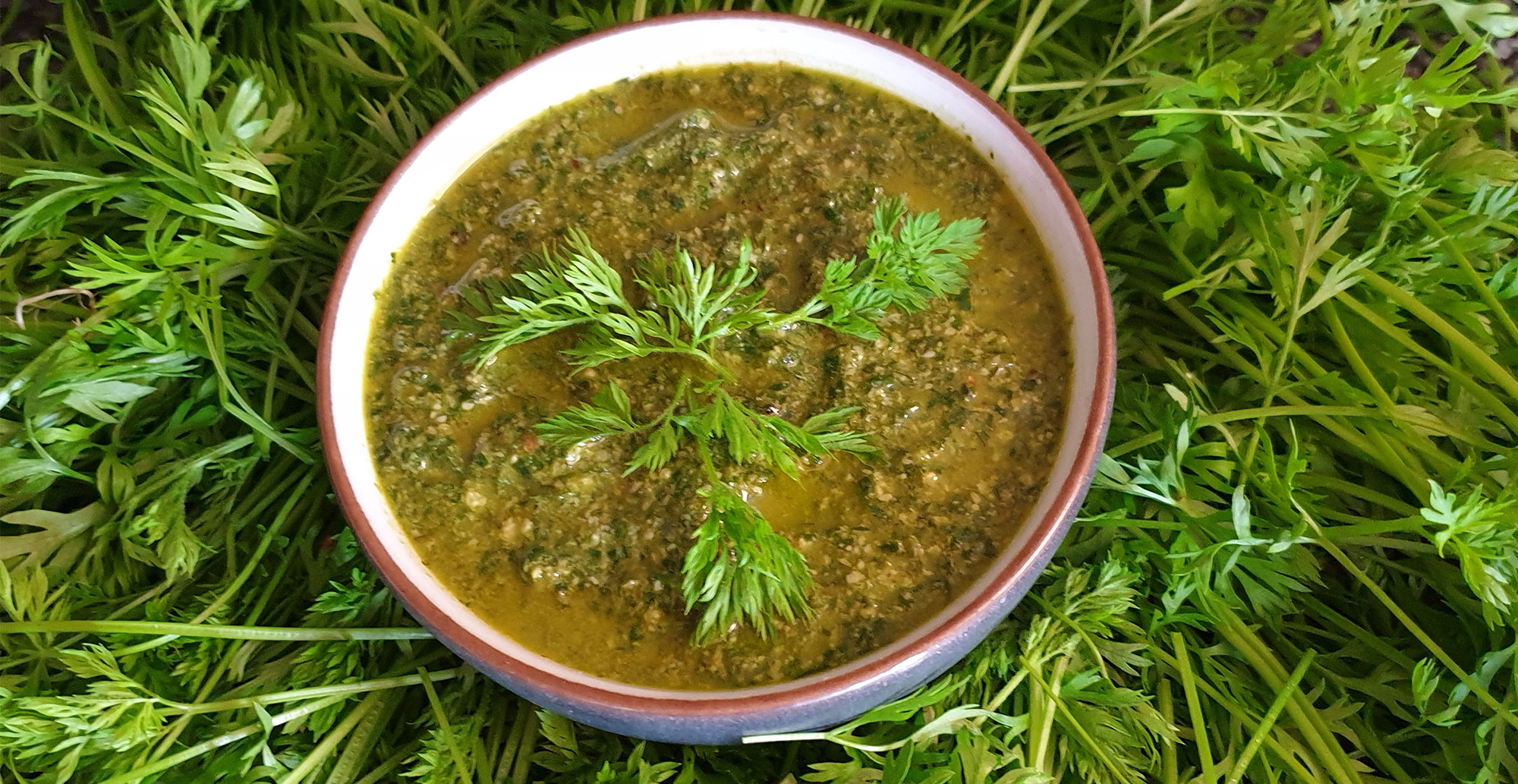 Rüeblikraut-Pesto